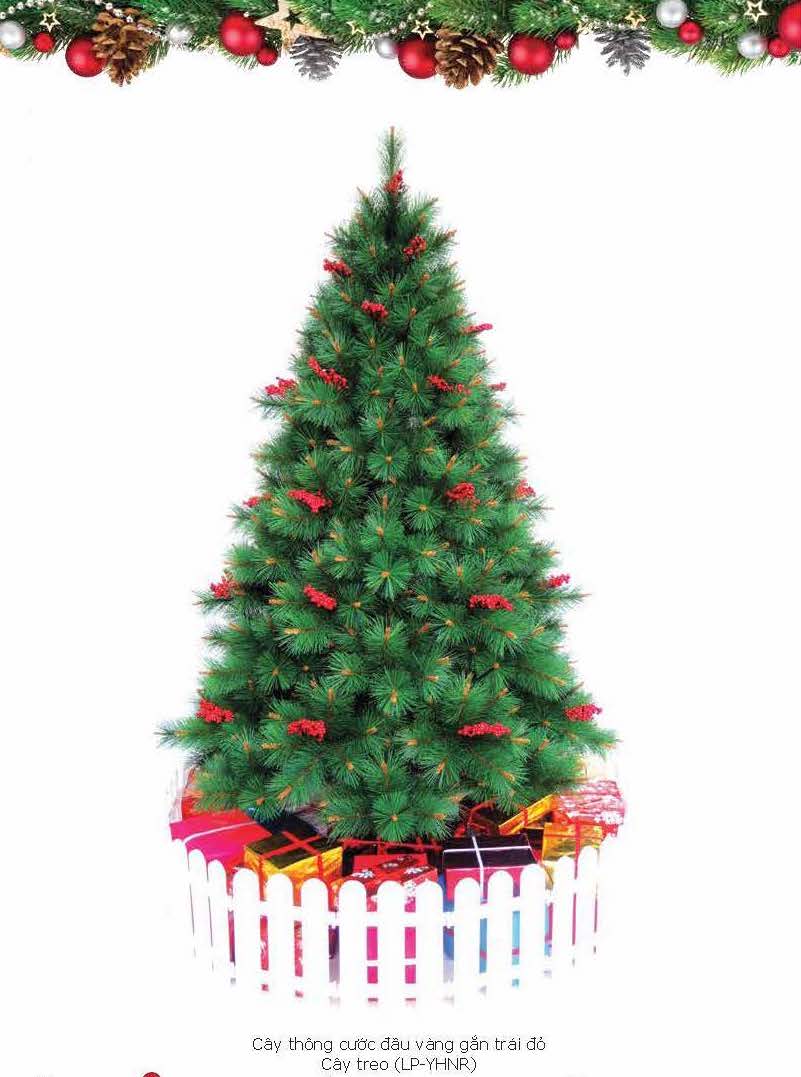 Noel-Cây thông 1,8m LP-YHN-6R
