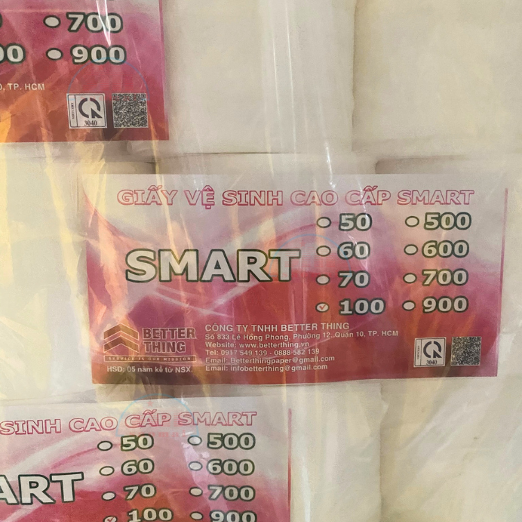 Giấy VS Smart 2 lớp S100 hồng-BT