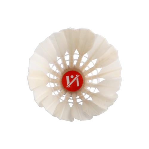 Cầu lông Hải Yến đỏ ngắn 6pcs-HY