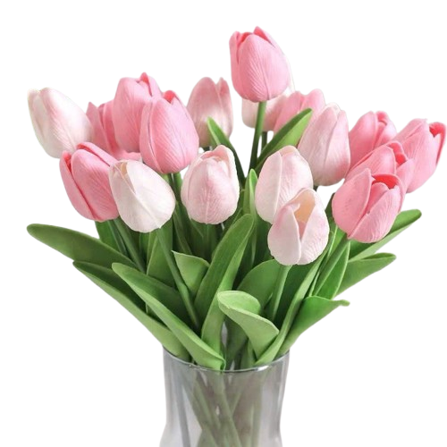 Cành hoa tulip búp/hoa tulip nở-DS
