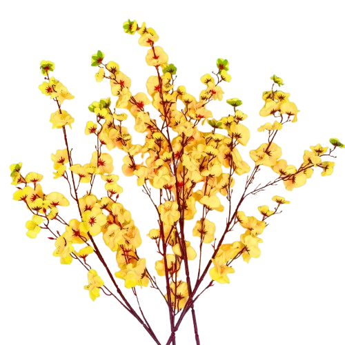 Tết-Cành mai/cành đào-H/TiTi