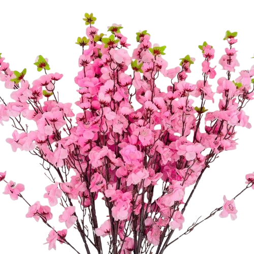 Tết-Cành mai/cành đào-H/TiTi