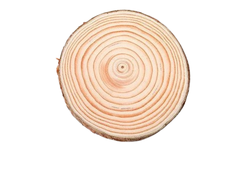 Đế gỗ 7-8cm-BL
