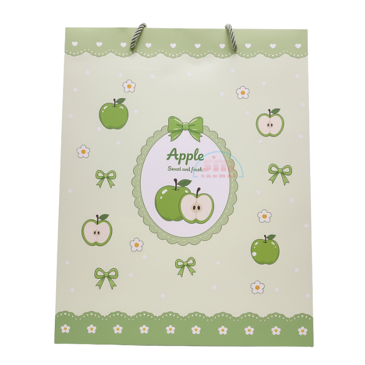Túi giấy HY-02545/YH-02478/02571/YH-02566 -TM/TL