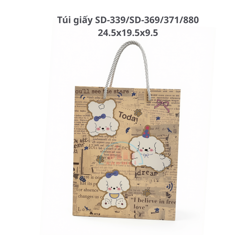 Túi giấy SD-339/SD-369/371/880 24.5x19.5x9.5-TL