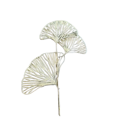 Nhánh quạt vàng nhỏ-TiTi