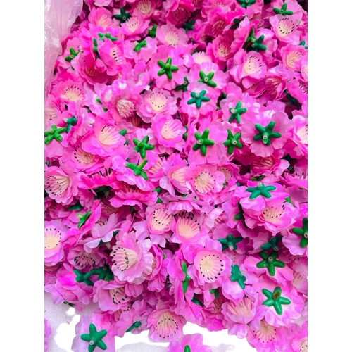 Tết-Mai Đào vải 0,5kg-NM/TiTi