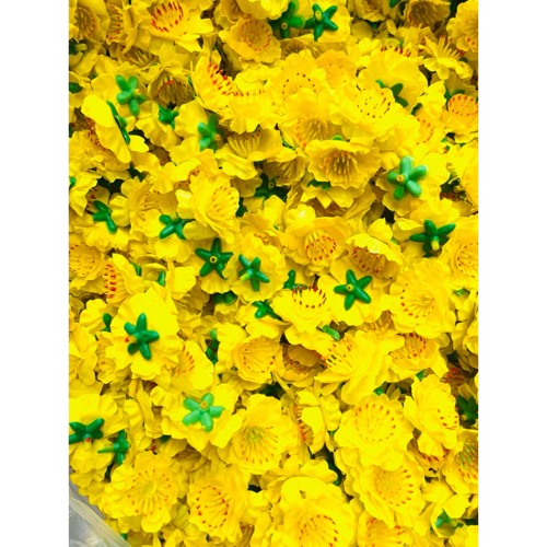 Tết-Mai Đào vải 0,5kg-NM/TiTi