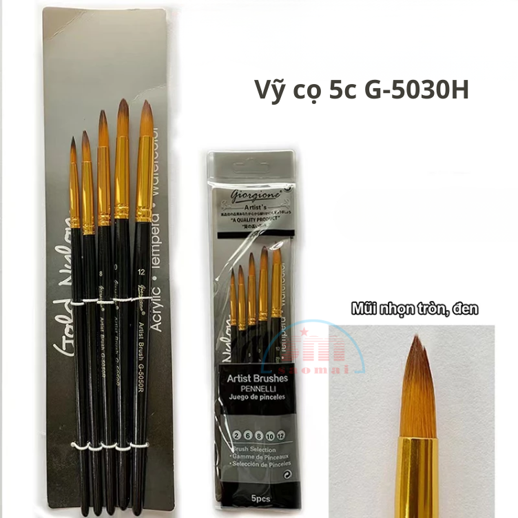 Vỹ cọ 5c G-5030H-TL