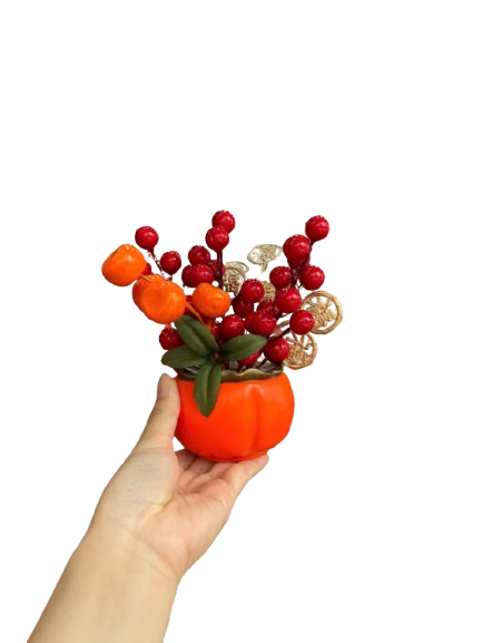 Chậu đào đông-KTN