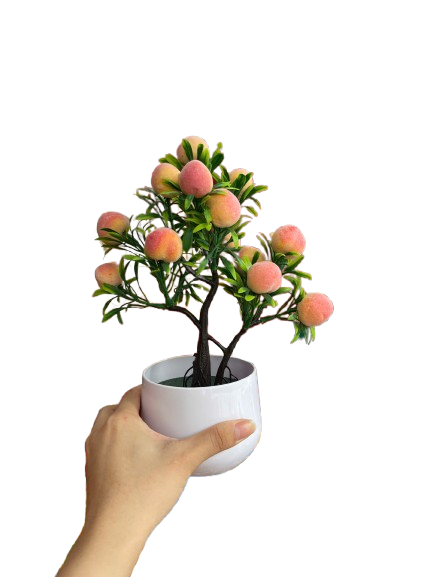 Chậu trái cây nhỏ-KTN