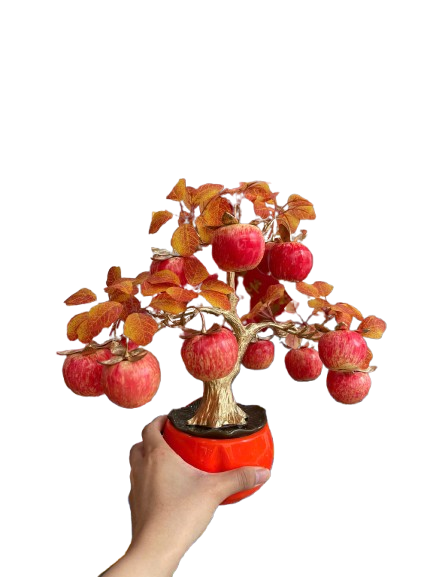 Chậu trái cây lớn ( Táo - Lựu - Hồng ) -KTN