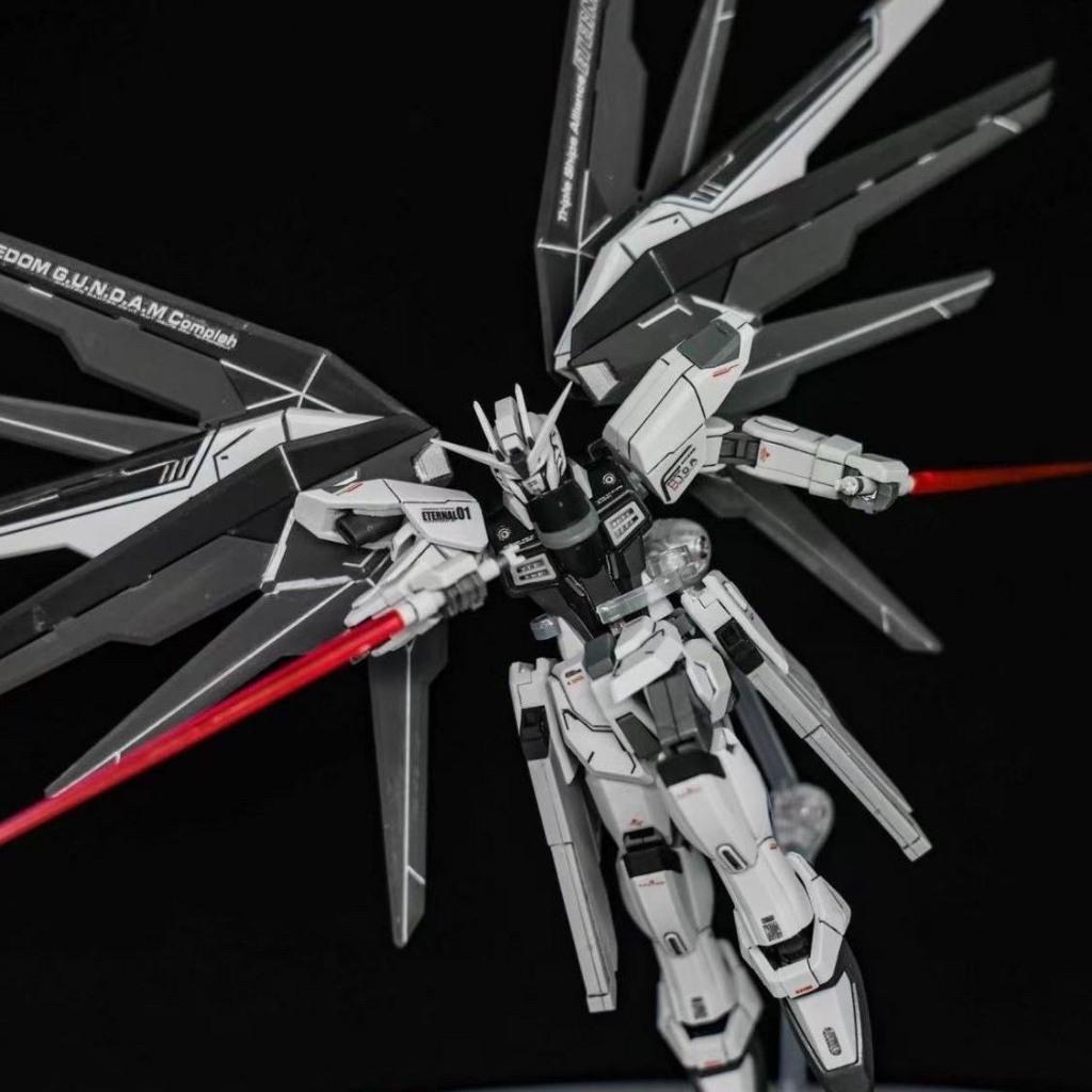 Mô hình lắp ráp Robot Gun-dam HG 1/144 Freedom (Đen)  đồ chơi Toy (Tặng Base)