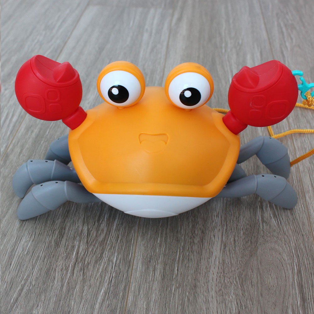 Đồ chơi trẻ em Dẫn Cua Đi Dạo Cua Kích Thước Lớn, Cực kì Cute