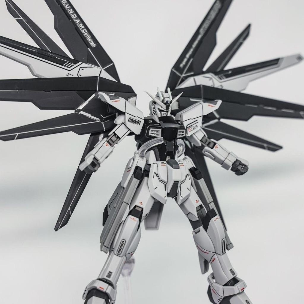 Mô hình lắp ráp Robot Gun-dam HG 1/144 Freedom (Đen)  đồ chơi Toy (Tặng Base)