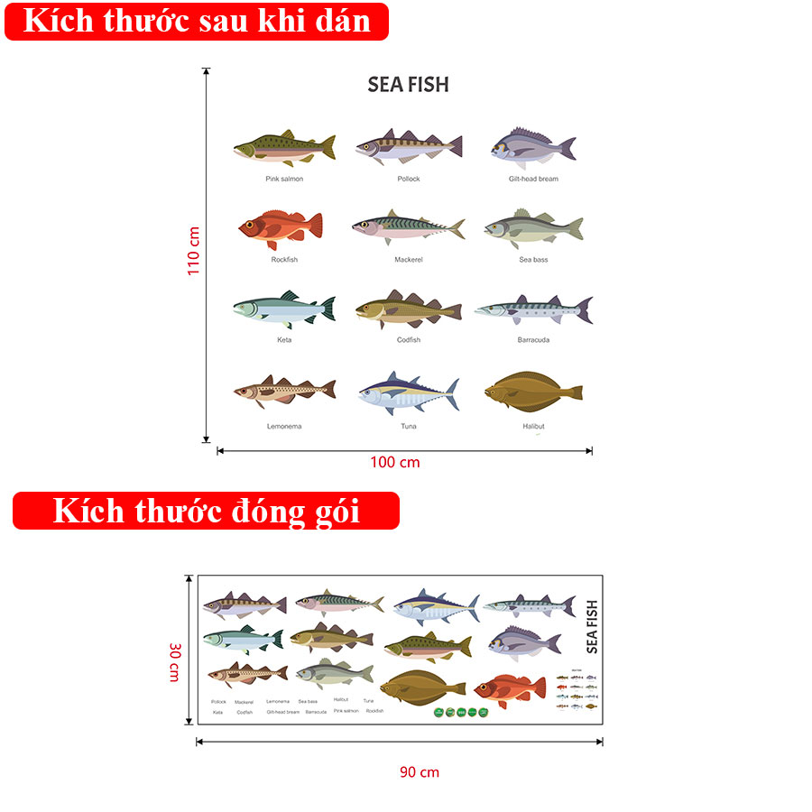 Decal dán tường Sticker dán tường in chất lượng cao có keo mặt sau mẫu Các loại cá biển DD223002