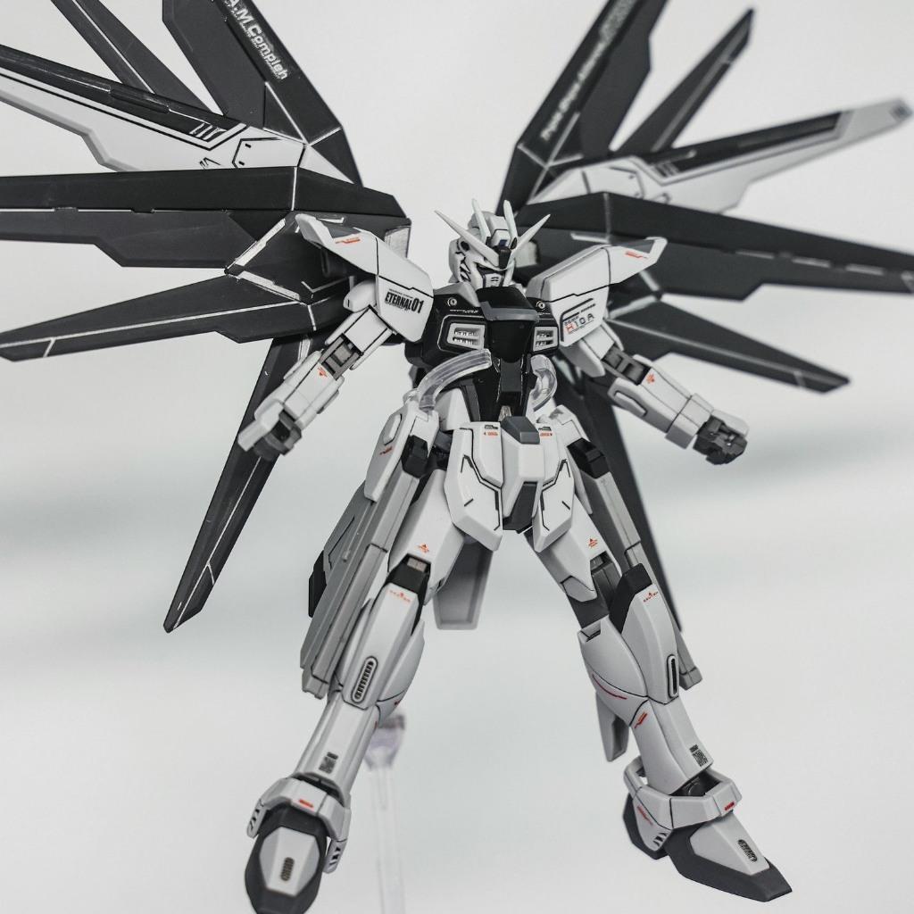 Mô hình lắp ráp Robot Gun-dam HG 1/144 Freedom (Đen)  đồ chơi Toy (Tặng Base)