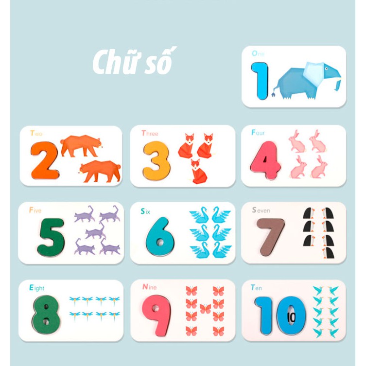 Bộ thẻ chữ cái và số đếm 3D cao cấp bằng gỗ loại đặc biệt Flash card 3D cho bé