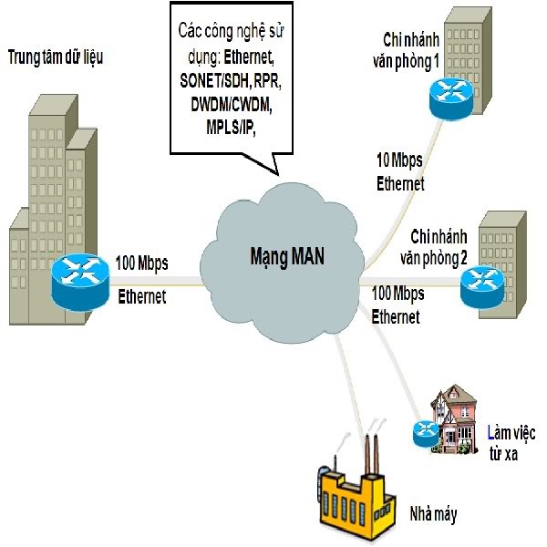 Tổng hợp 83 hình về các mô hình mạng campus  NEC