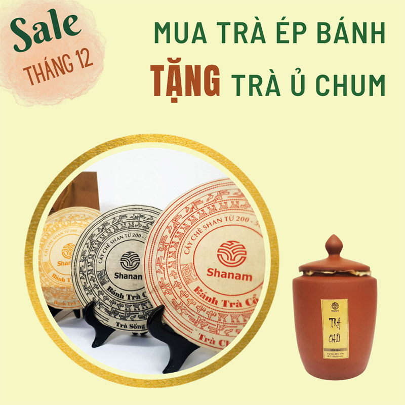 Mua Trà ép bánh tặng trà ủ Chum