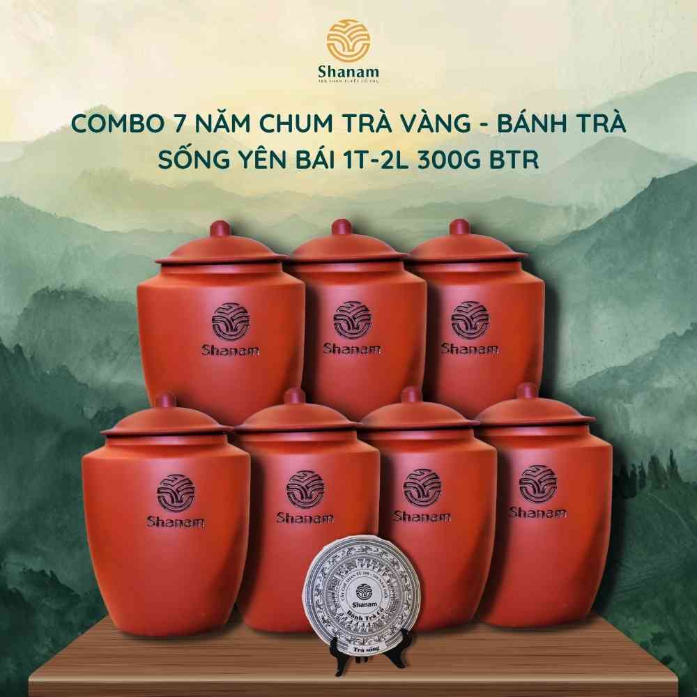 COMBO 7 NĂM CHUM TRÀ VÀNG - BÁNH TRÀ SỐNG YÊN BÁI 1T-2L 300G BTR