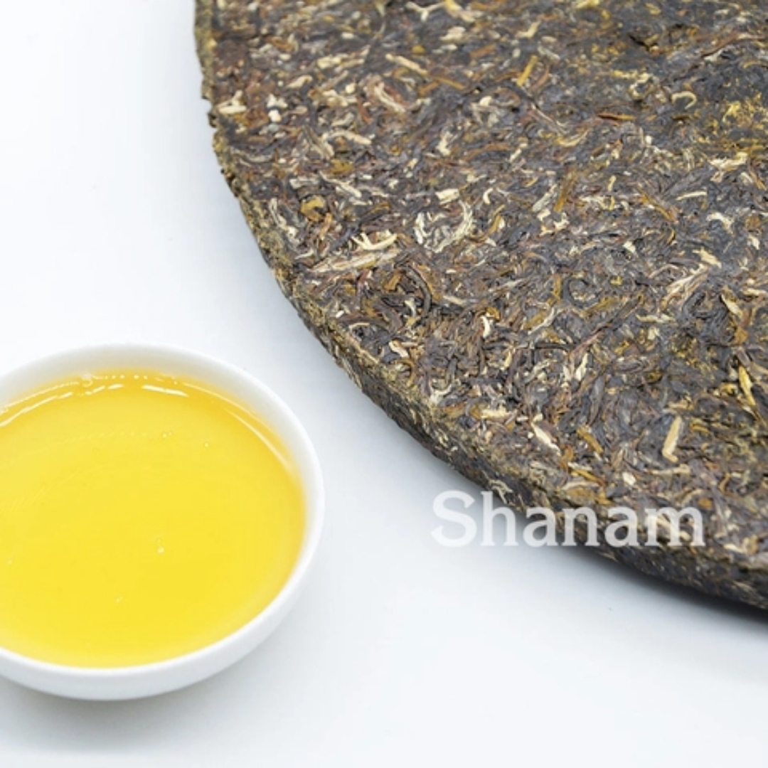 TRÀ VÀNG - BÁNH TRÀ SỐNG 2025 YÊN BÁI 1 TÔM - 2 LÁ 300G BTR