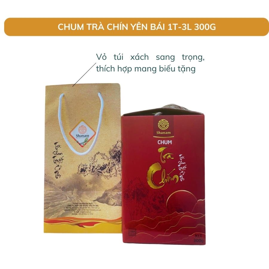 TRÀ VÀNG - CHUM TRÀ CHÍN YÊN BÁI 1 TÔM - 3 LÁ 300G