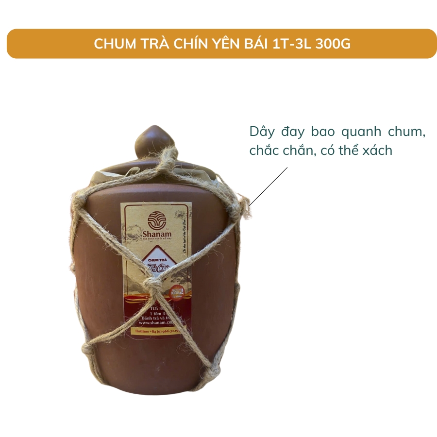 TRÀ VÀNG - CHUM TRÀ CHÍN YÊN BÁI 1 TÔM - 3 LÁ 300G