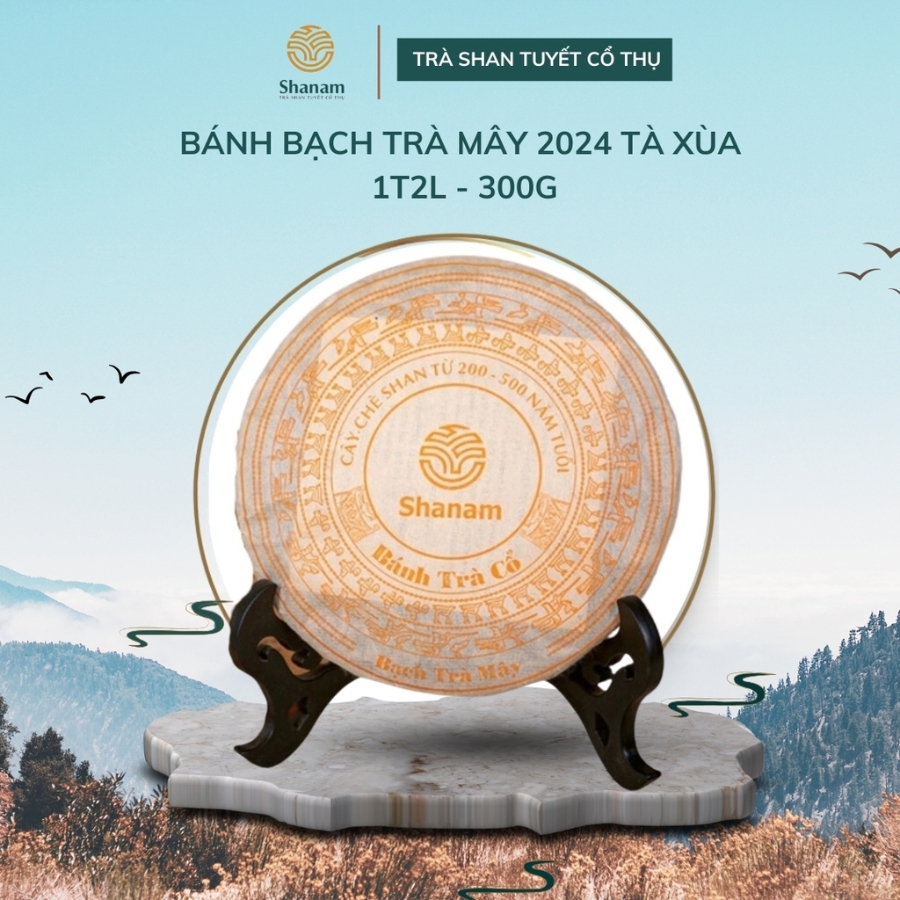 BÁNH BẠCH TRÀ MÂY 2024 TÀ XÙA 1 TÔM -2 LÁ 300G BTR