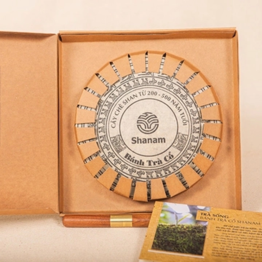 TRÀ VÀNG - BÁNH TRÀ SỐNG 2025 YÊN BÁI 1 TÔM - 2 LÁ 300G BTR