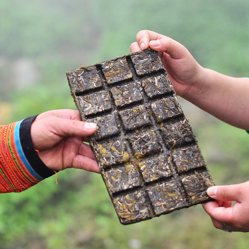 BÁNH TRÀ SỐNG 2019 TÀ XÙA 1 TÔM - 2 LÁ 300G BTR