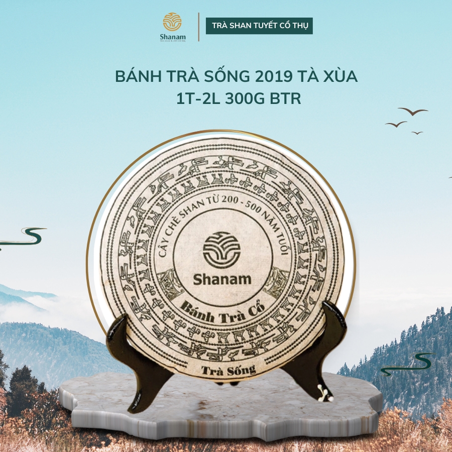 BÁNH TRÀ SỐNG 2019 TÀ XÙA 1 TÔM - 2 LÁ 300G BTR