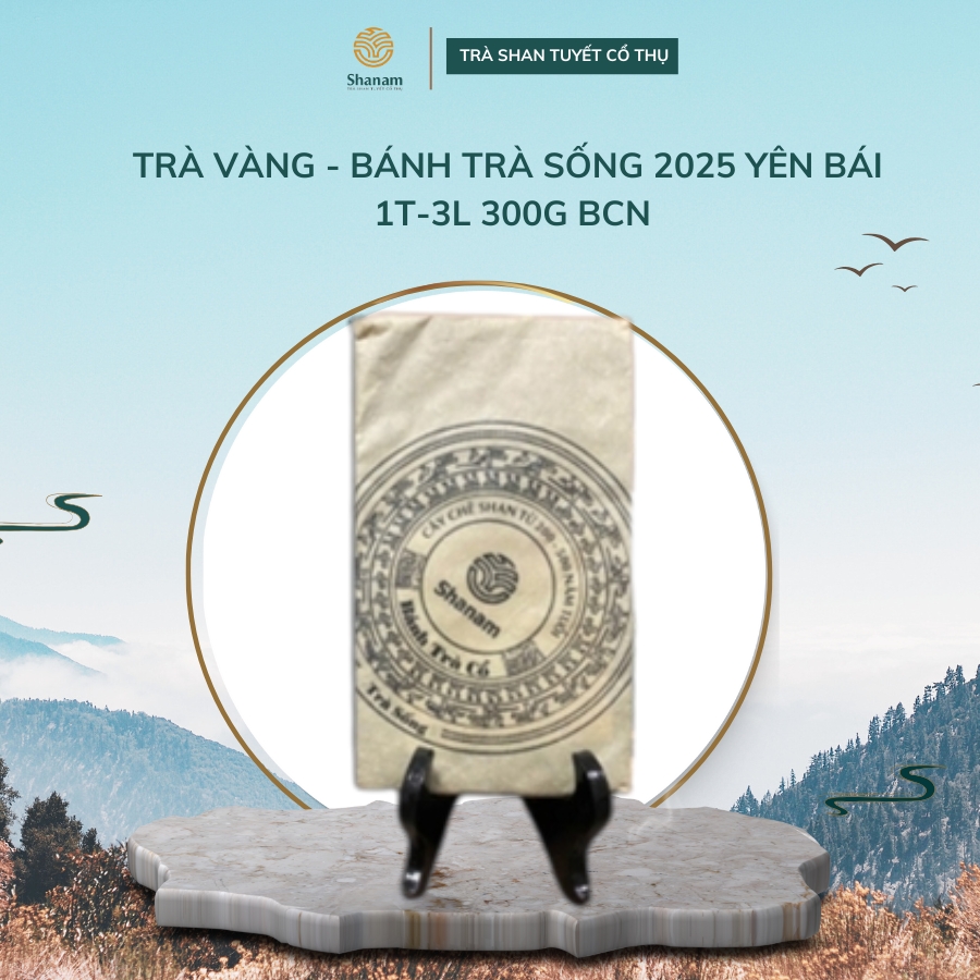 TRÀ VÀNG - BÁNH TRÀ SỐNG 2025 YÊN BÁI 1 TÔM -3 LÁ 300G BCN
