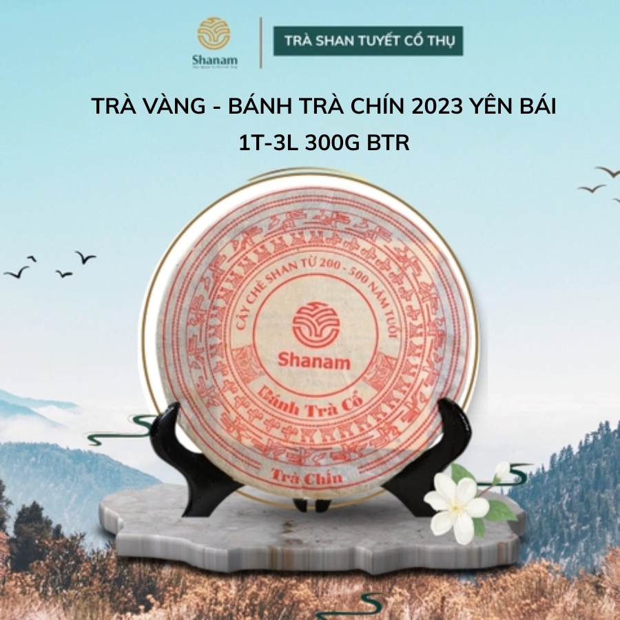 TRÀ VÀNG - BÁNH TRÀ CHÍN 2023 YÊN BÁI 1T-3L 300G BTR