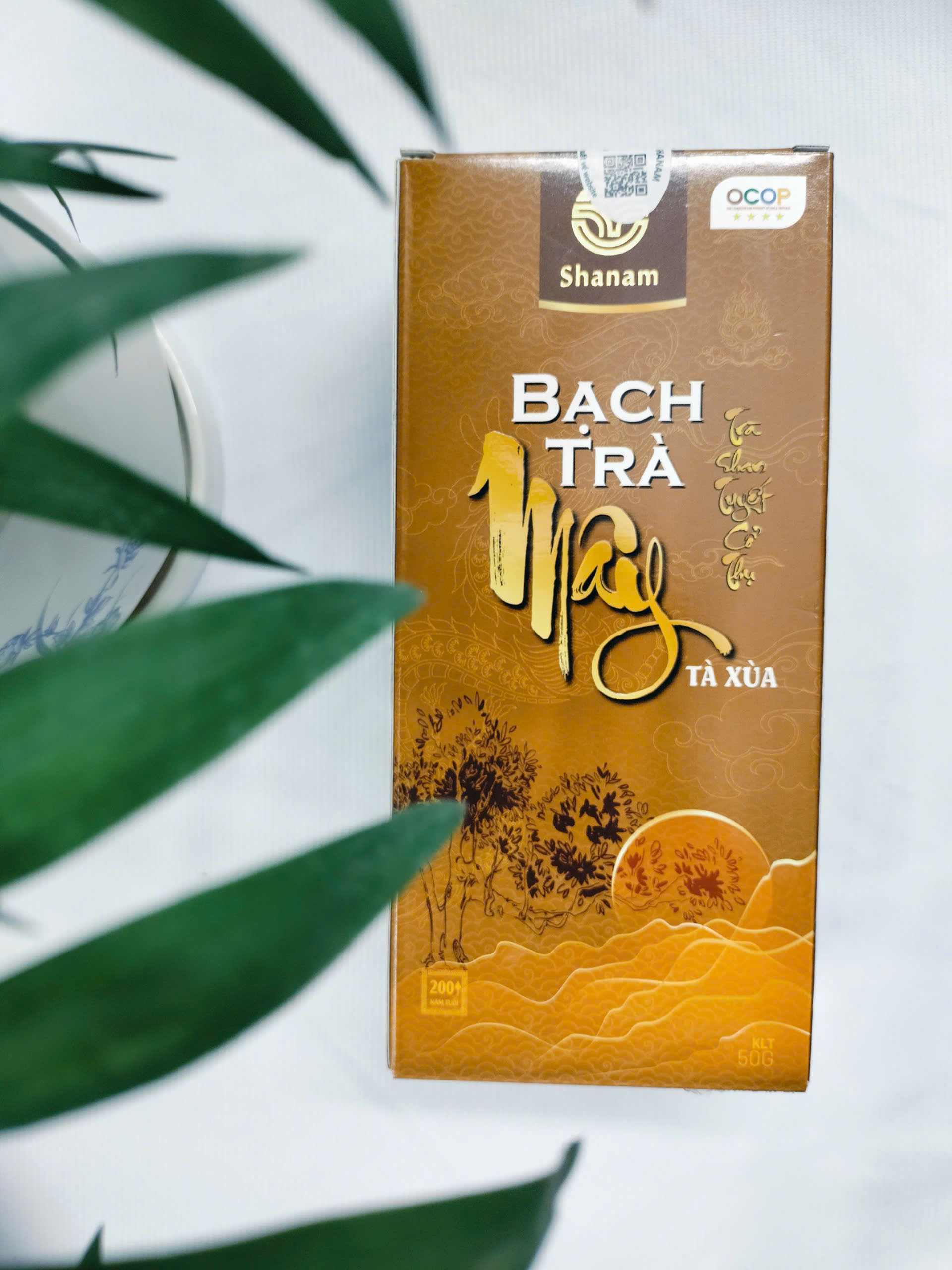 BẠCH TRÀ MÂY HỘP 50G