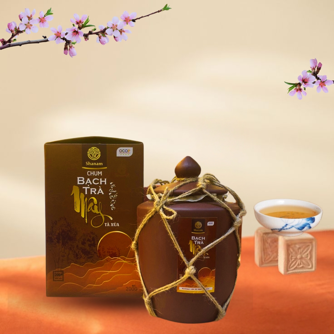 CHUM BẠCH TRÀ MÂY TÀ XÙA 1 TÔM - 2 LÁ 200G