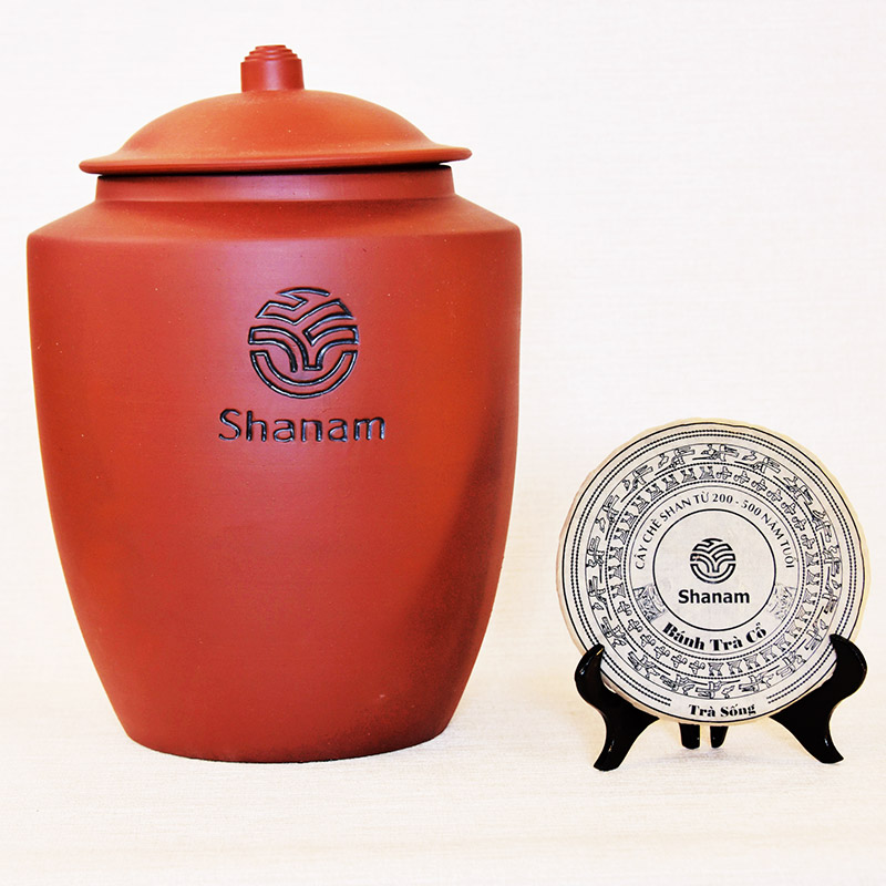 TRÀ VÀNG - CHUM MIX 12 BÁNH TRÀ SỐNG 2020 YÊN BÁI 1 TÔM - 2 LÁ