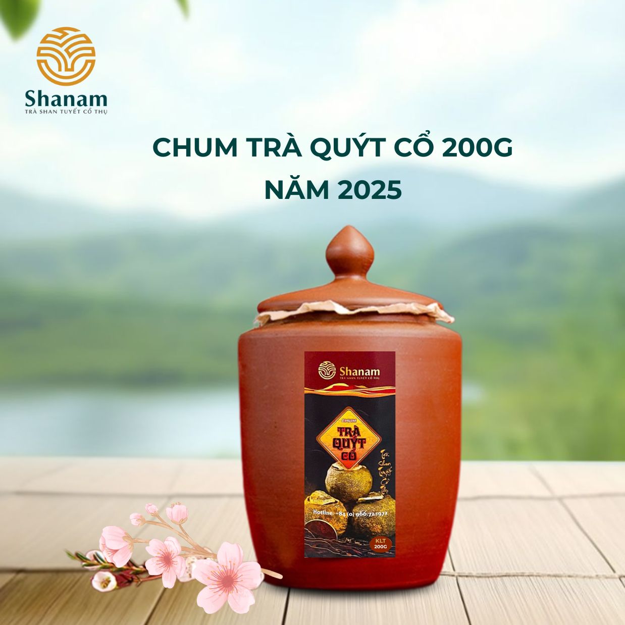 CHUM TRÀ QUÝT CỔ 200G NĂM 2025