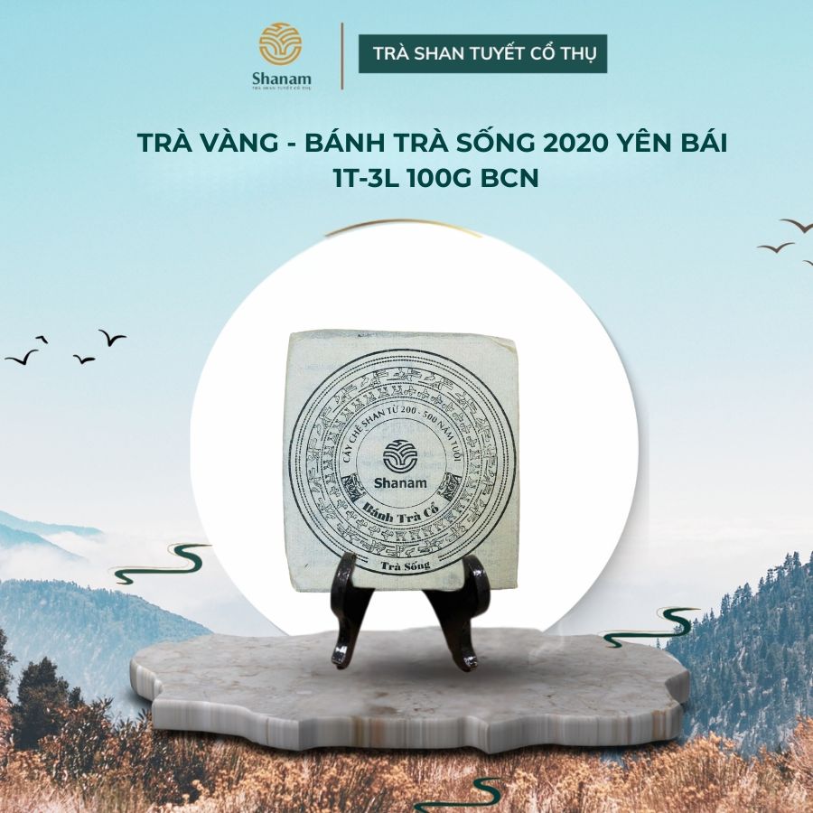 TRÀ VÀNG - BÁNH TRÀ SỐNG 2020 YÊN BÁI 1 TÔM - 3 LÁ 100G HCN