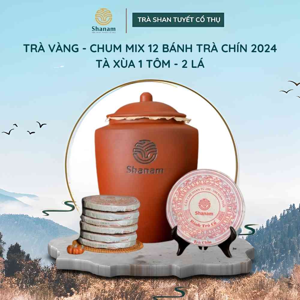 TRÀ VÀNG - CHUM MIX 12 BÁNH TRÀ CHÍN 2024 TÀ XÙA 1 TÔM - 2 LÁ