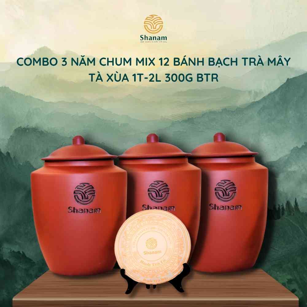COMBO 3 NĂM CHUM TRÀ 12 BÁNH BẠCH TRÀ MÂY TÀ XÙA 1T-2L 300G BTR