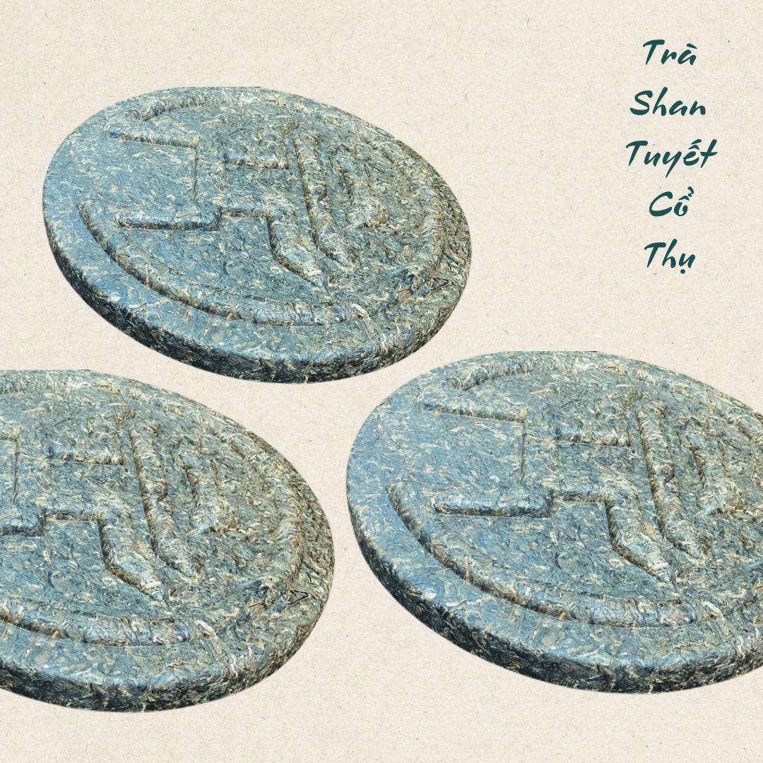 TRÀ VÀNG - BÁNH TRÀ SỐNG 2024 YÊN BÁI 1 TÔM -2 LÁ 3,5KG BTR KHUÊ VÂN CÁC