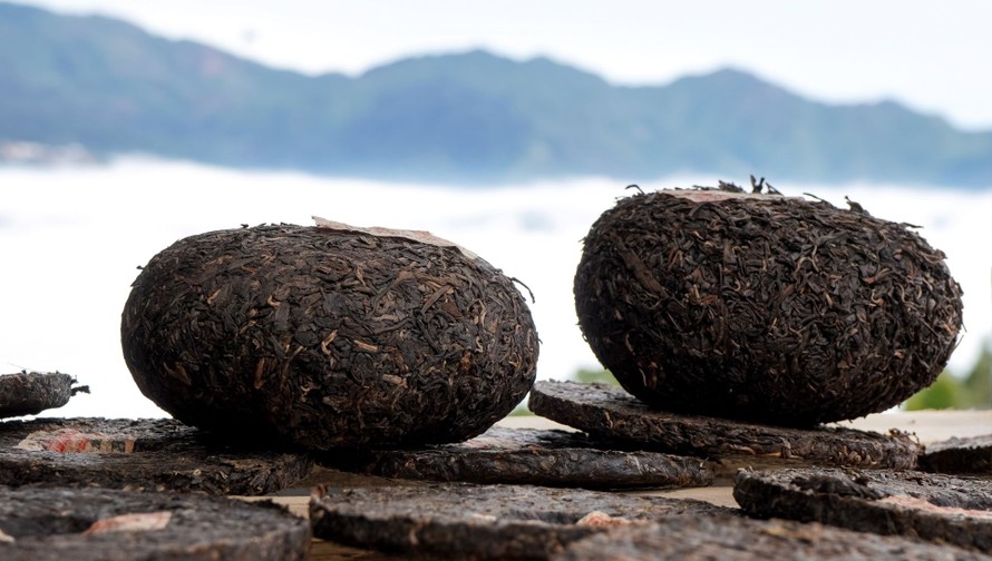 QUẢ TRÀ TRÀ VÀNG - TRÀ SỐNG 2021 YÊN BÁI 1T-3L 1KG