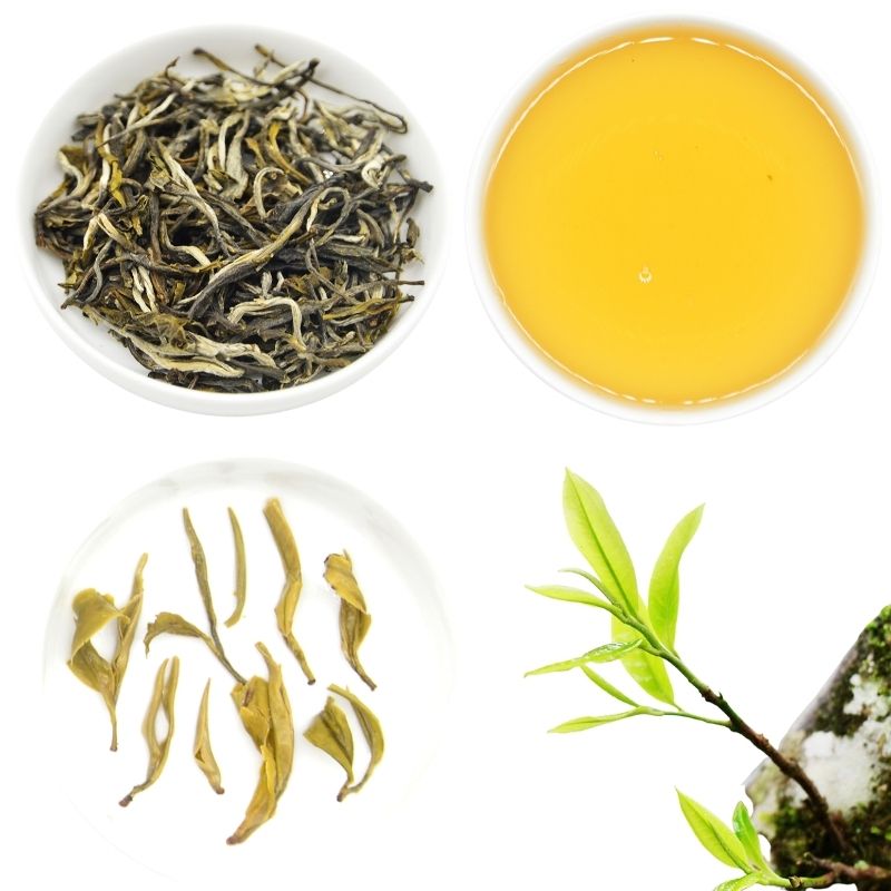 TRÀ XANH THIỆN TÚI 5G