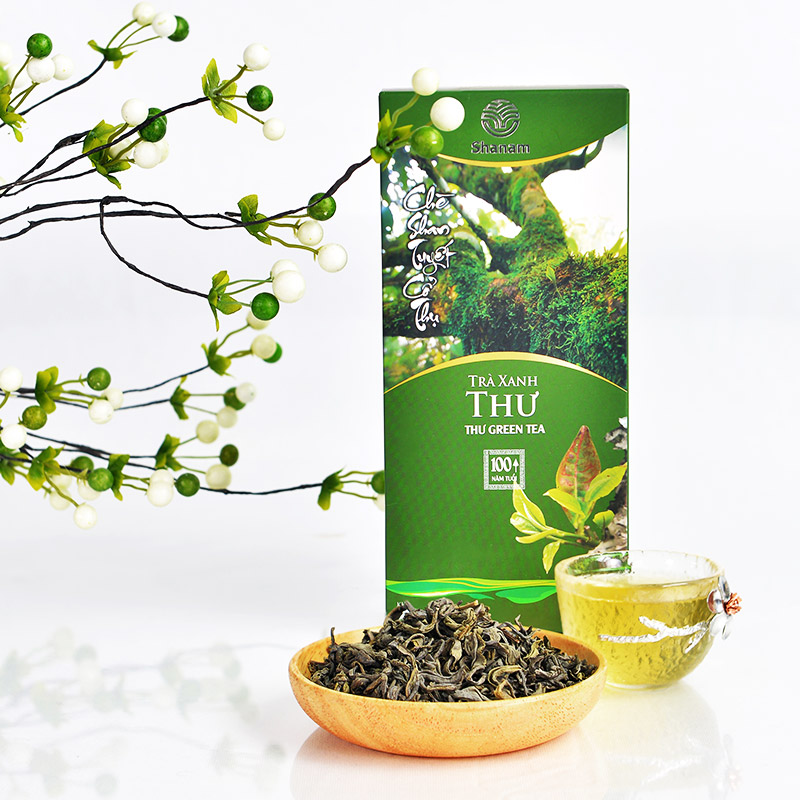 Kỹ thuật trồng trà xanh tại nhà  Kinh nghiệm làm ăn  Báo ảnh Dân tộc và  Miền núi