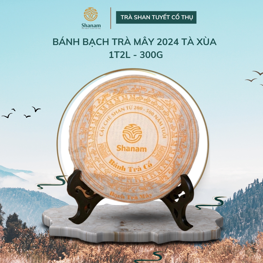 BÁNH BẠCH TRÀ MÂY 2024 TÀ XÙA 1 TÔM -2 LÁ 300G BTR