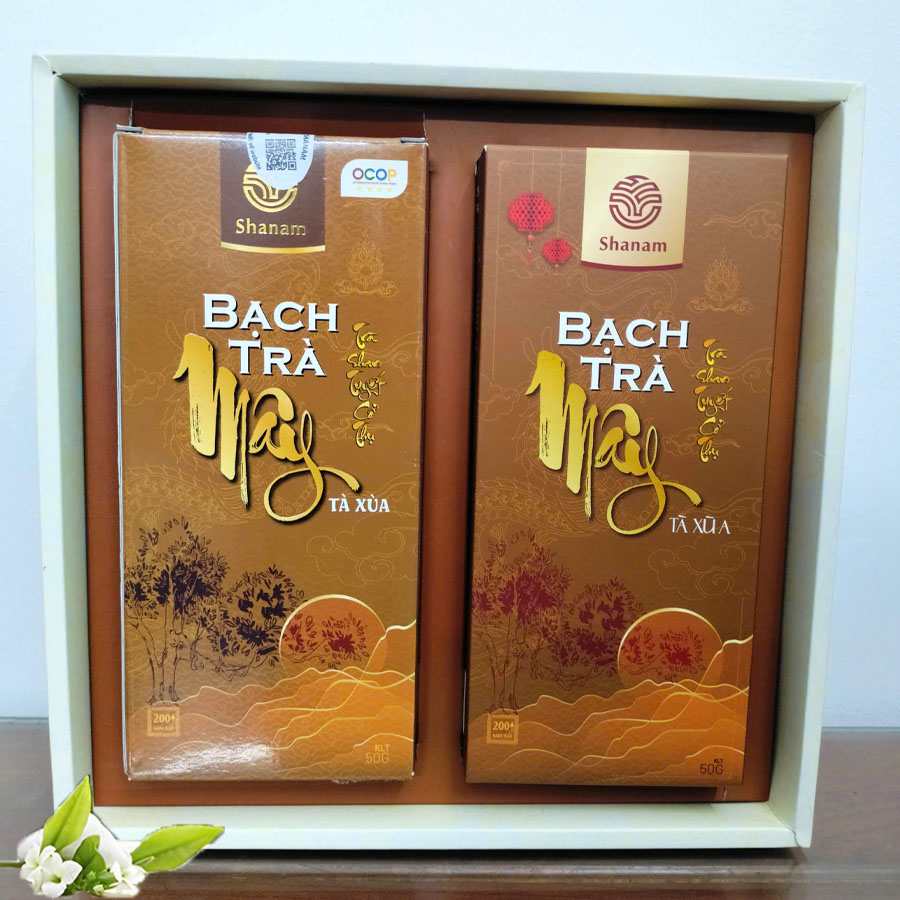 SÉT ĐÔI BẠCH TRÀ MÂY 100G