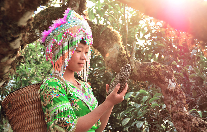 Về chúng tôi