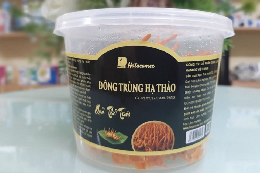 Đông trùng hạ thảo tươi nguyên hộp nuôi cấy - thức quả bổ dưỡng đến từ thiên nhiên