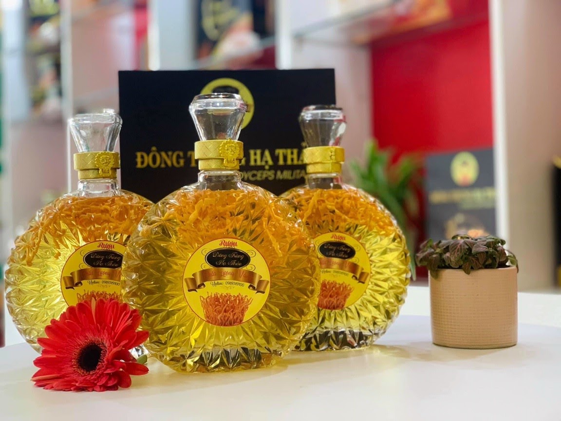 Rượu đông trùng hạ thảo - thức uống bổ dưỡng từ thiên nhiên